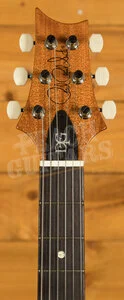 PRS DGT - Aquamarine Moons