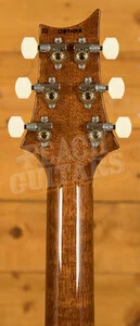 PRS DGT - Charcoal Moons