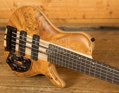 Cort Basses Artisan Series | A5 Plus SC - 5-String - Amber Open Pore
