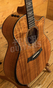 Taylor 50th Anniversary Collection | 924ce-K LTD & Circa 74 Amp