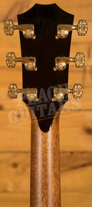 Taylor 50th Anniversary Collection | 924ce-K LTD & Circa 74 Amp