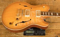 Nik Huber Rietbergen | Faded Sunburst - Brazilian Rosewood Fingerboard