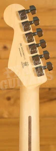 Fender Player Stratocaster - Pau Ferro - Anniversary 2-Colour Sunburst