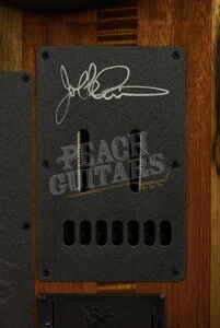 Music Man John Petrucci Collection | Majesty Maple Top 7-String - Spice Melange