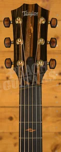 Taylor Custom | Custom #2: Grand Auditorium