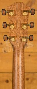 Taylor Custom | Custom #2: Grand Auditorium
