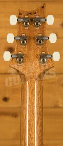 PRS DGT 10 Top Yellow Tiger