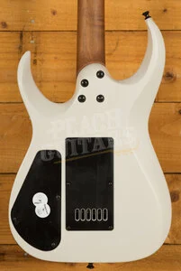 Jackson Pro Series Signature Misha Mansoor Juggernaut ET6 Caramelized Maple Chalk Grey