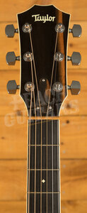 Taylor 500 Series | 514ce - Used