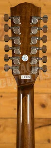 Fender CD-60SCE Dreadnought 12-String - Natural