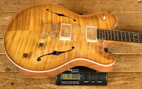 Nik Huber Rietbergen | Faded Sunburst - Exceptional Flame Maple Top