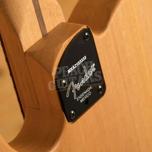 Fender Acoustasonic Player Telecaster - Rosewood - Shadow Burst