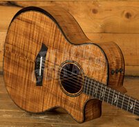 Taylor 50th Anniversary Collection | 924ce-K LTD & Circa 74 Amp