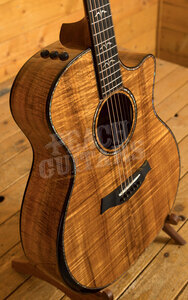 Taylor 50th Anniversary Collection | 924ce-K LTD & Circa 74 Amp