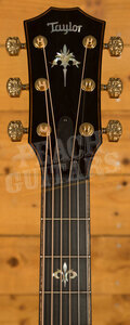 Taylor 50th Anniversary Collection | 924ce-K LTD & Circa 74 Amp