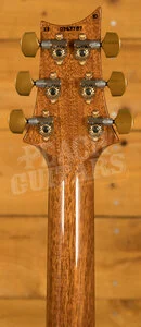 PRS Special Semi-Hollow - 10 Top - Aquamarine