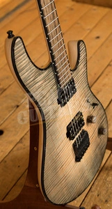 Mayones Regius 6 Black Feather