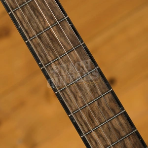 Mayones Regius 6 Black Feather