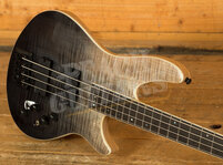 Schecter Bass SLS Elite-4 | Black Fade Burst