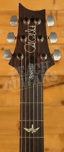 PRS Special Semi Hollow Aquamarine Pattern