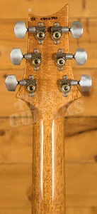 PRS Special Semi Hollow Aquamarine Pattern