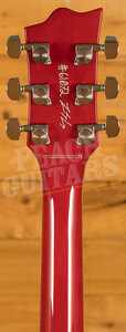 Reverend Set-Neck Series | Sensei Jr. - Transparent Cherry - Rosewood