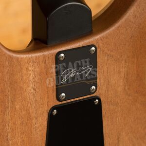 PRS Dustie Waring CE - ZV - Black Top