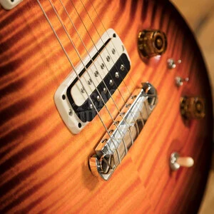 PRS Private Stock Paul's Guitar 1985 Limited Edition