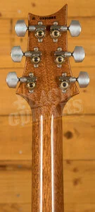 PRS Custom 24-08 - Aquamarine Pattern Regular