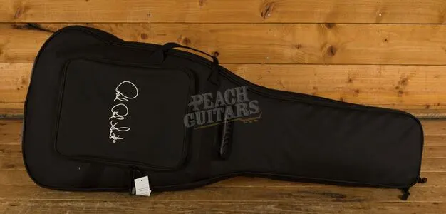 PRS S2 McCarty 594 Thinline - Frost Green Metallic 2020