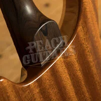PRS Private Stock - Modern Eagle V Frostbite Glow with Ziricote Neck