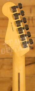 Fender American Professional II Stratocaster HSS - Maple - Roasted Pine