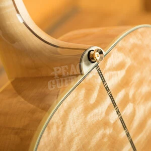 Gibson Tom Petty SJ-200 Wildflower Antique Natural