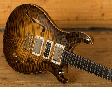 PRS Private Stock Special Semi-Hollow "Birds of a Feather" 
