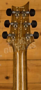 PRS Private Stock Special Semi-Hollow "Birds of a Feather" 