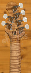 Music Man Axis Collection | Axis Super Sport - Honey Pot Quilt