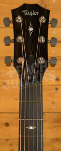 Taylor 300 Series | 314ce