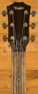 Taylor American Dream Series | AD24ce