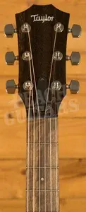 Taylor American Dream Series | AD24ce *B-Stock*
