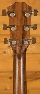 Taylor American Dream Series | AD24ce *B-Stock*