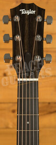 Taylor 100 Series | 117e