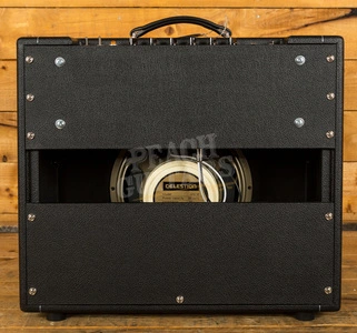Friedman Dirty Shirley | 40-Watt Combo