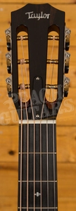 Taylor 322e 12-FRET Shaded Edgeburst Top