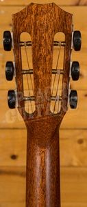 Taylor 322e 12-FRET Shaded Edgeburst Top