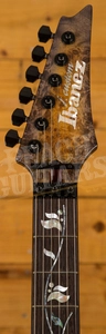 Ibanez J Custom Burl Top Root Beer Brown Andara