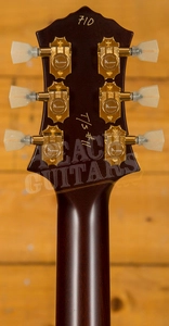 Knaggs Steckel Kenai T/S SunflowerBurst 