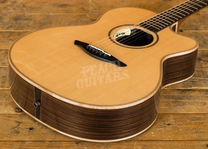 Avalon A2-20SE Used