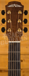 Avalon A2-20SE Used