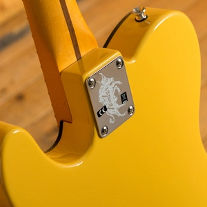 Fender Britt Daniel Tele Thinline - Maple - Amarillo Gold