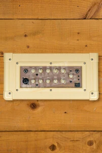 Blackstar Acoustic:Core 30